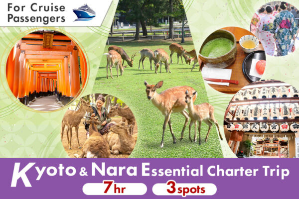 Cruise Excursion: Kyoto & Nara Essential Charter (7 Hours)
