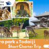 cruise-excursion-nara-park-and-todaiji-short-charter-main