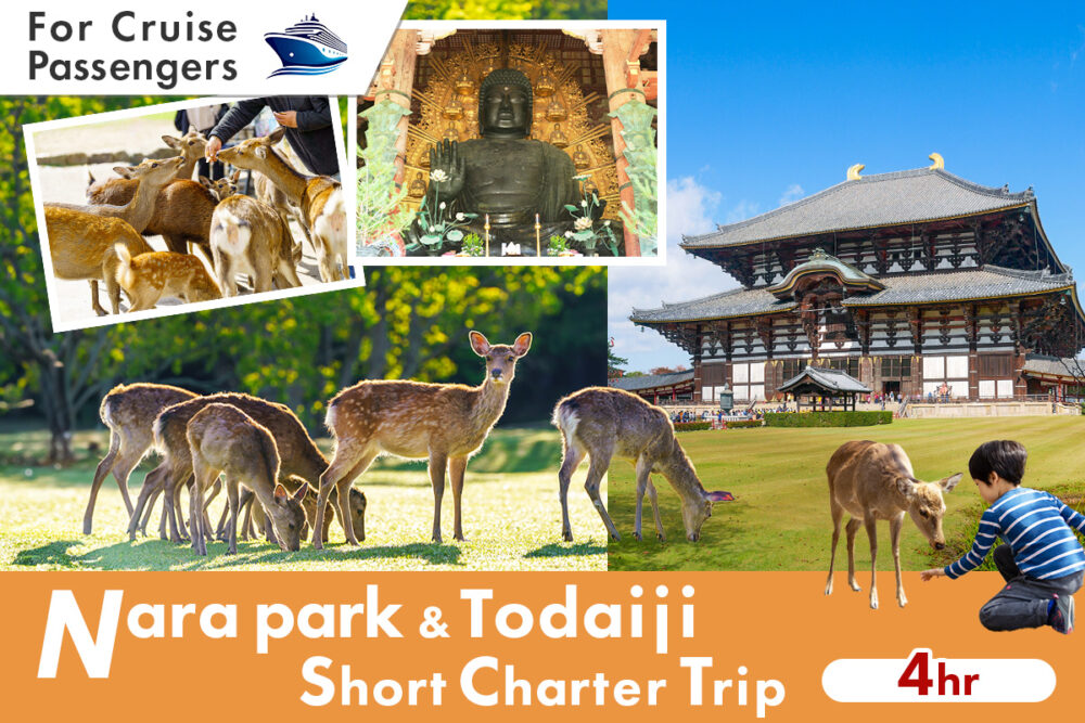 cruise-excursion-nara-park-and-todaiji-short-charter-main