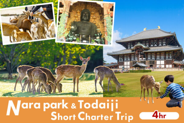 Nara Park & Todaiji Short Charter from Osaka Hotel (4 Hours)